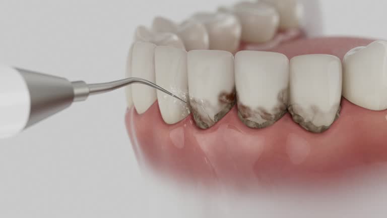 Reliable Dental contractor in Front Royal, VA by Dentist Open Now